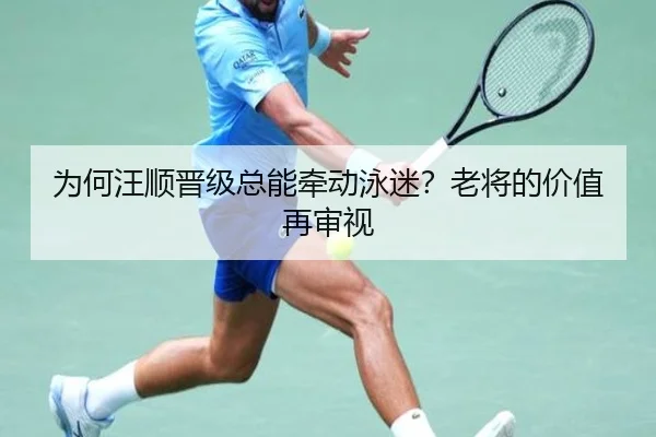 为何汪顺晋级总能牵动泳迷？老将的价值再审视